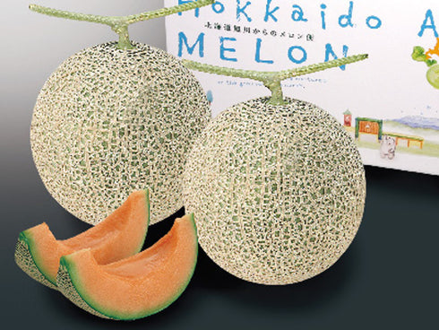 A 旭川メロン 北海道